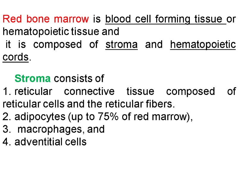 Red bone marrow is blood cell forming tissue or hematopoietic tissue and  